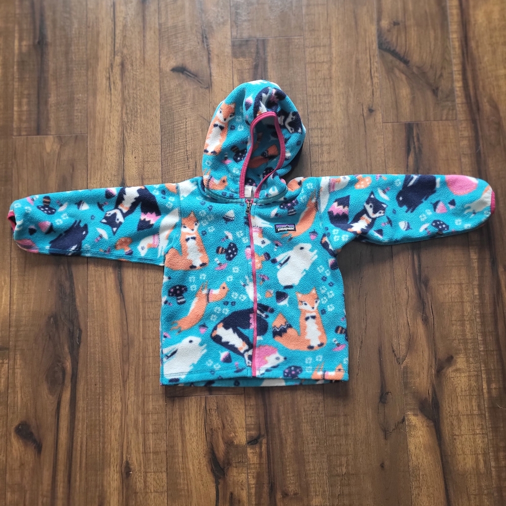Patagonia Blue and Pink Fleece Jacket
